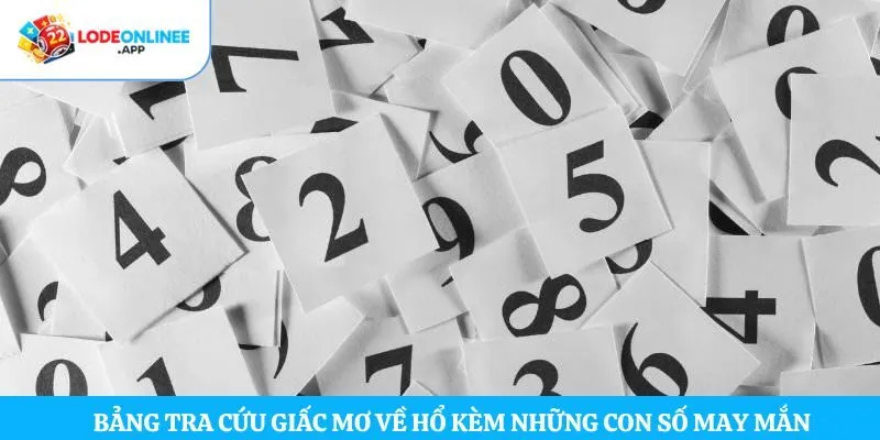 Bảng tra cứu giấc mơ về hổ kèm những con số may mắn