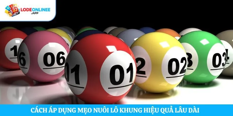 Cách áp dụng mẹo nuôi lô khung hiệu quả lâu dài