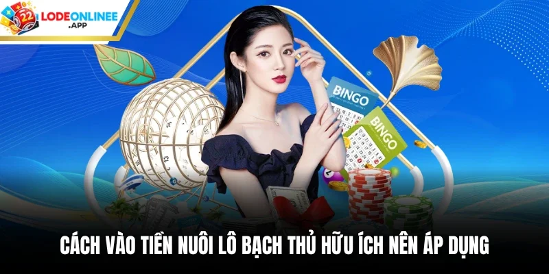 Cách Vào Tiền Nuôi Lô Bạch Thủ Hữu Ích Nên Áp Dụng
