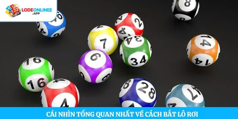 Cái nhìn tổng quan nhất về cách bắt lô rơi