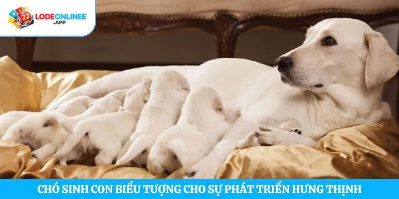 Chó sinh con biểu tượng cho sự phát triển hưng thịnh