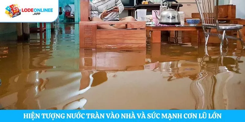 Hiện tượng nước tràn vào nhà và sức mạnh cơn lũ lớn