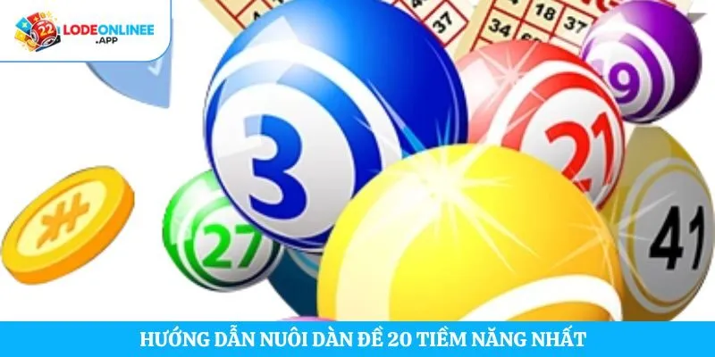 Hướng dẫn nuôi dàn đề 20 tiềm năng nhất