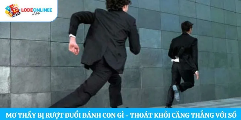 Mơ Thấy Bị Rượt Đuổi Đánh Con Gì – Thoát Khỏi Căng Thẳng Với Số