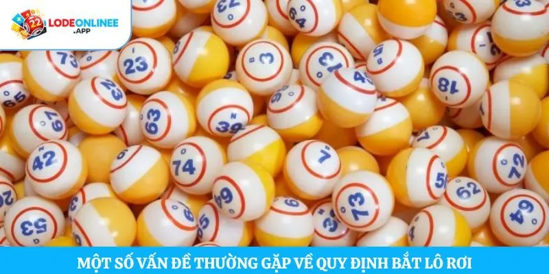 Một số vấn đề thường gặp về quy định bắt lô rơi