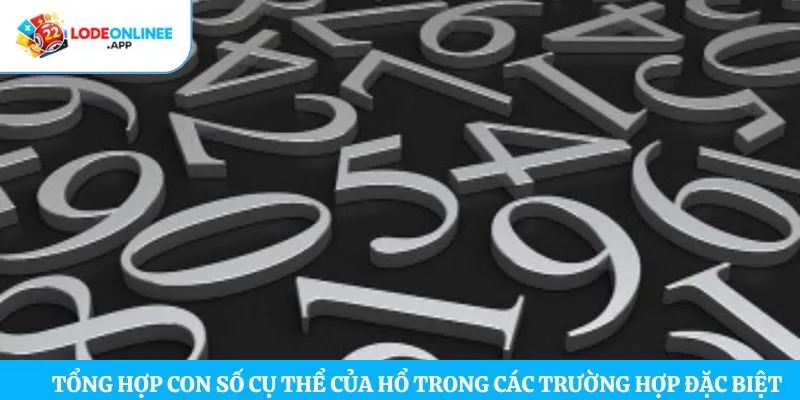 Tổng hợp con số cụ thể của hổ trong các trường hợp đặc biệt 